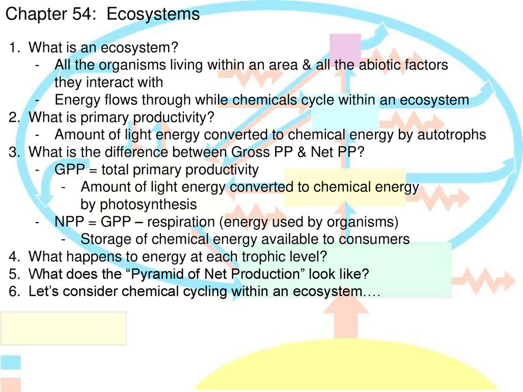 Chapter 54: Ecosystems What is an ecosystem? - ppt download Chapter 54: Ecosystems What is an ecosystem? - ppt download